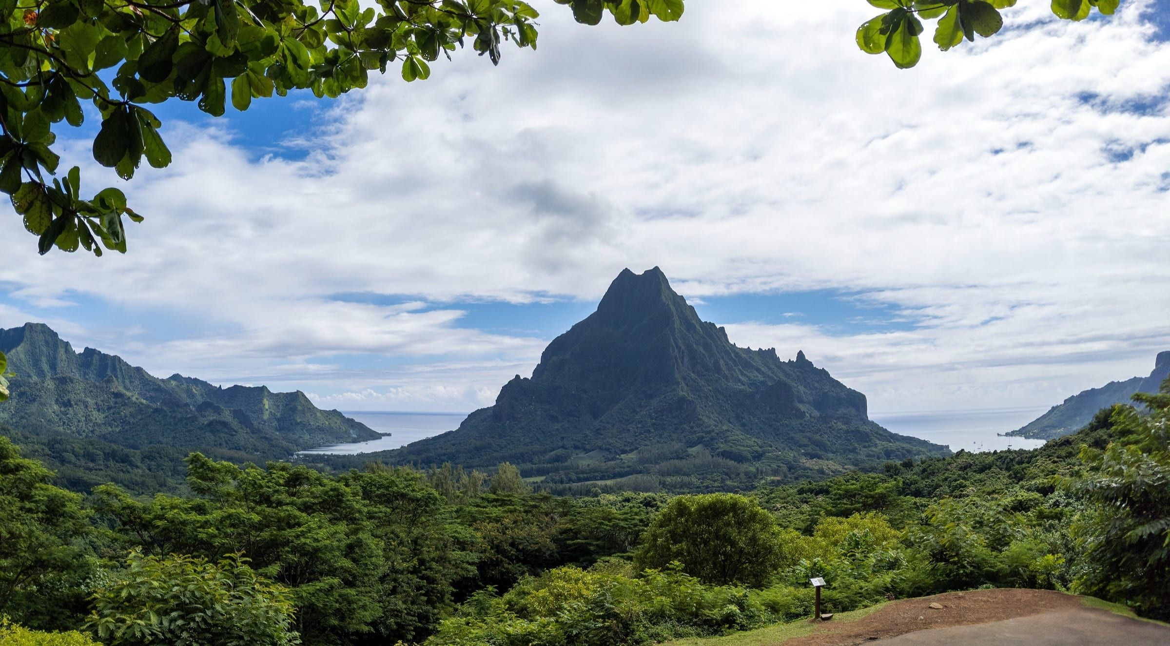 Mount Rotui's green, saw-toothed ridge rises between Ōpūnohu Bay and Cook's Bay, seen over rainforest from the Belvedere lookout on Moʻorea.