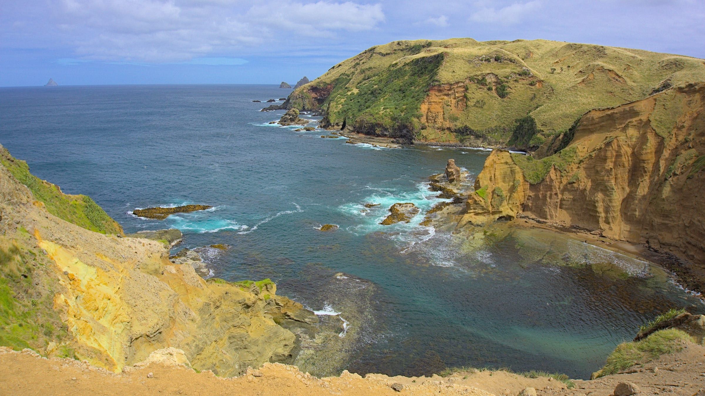 Ochre sandstone cliffs and grassy headlands curl around Canister Cove on Pitt Island, its clear blue-green water scattered with kelp-fringed rocks and distant sea stacks on the horizon.