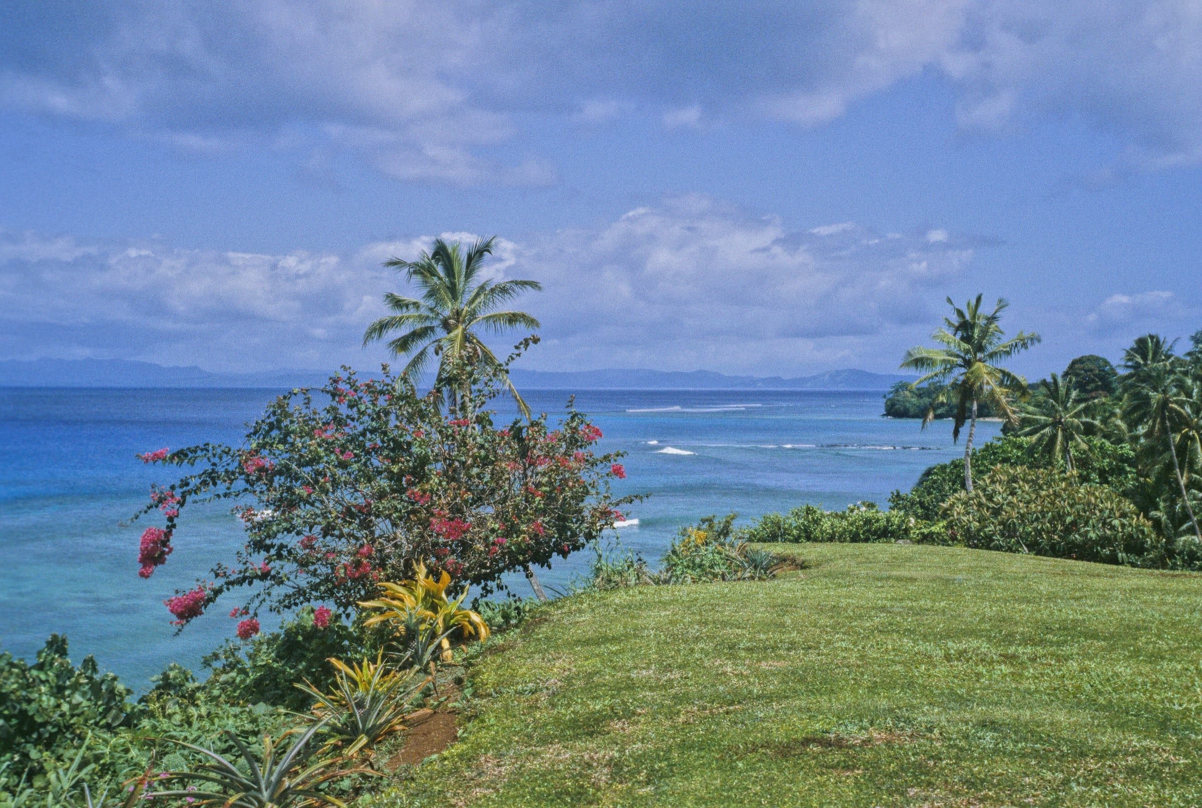 Flowering bougainvillea and coconut palms on a grassy rise above Taveuni's reef-edged coast, looking out across the water towards Matangi.