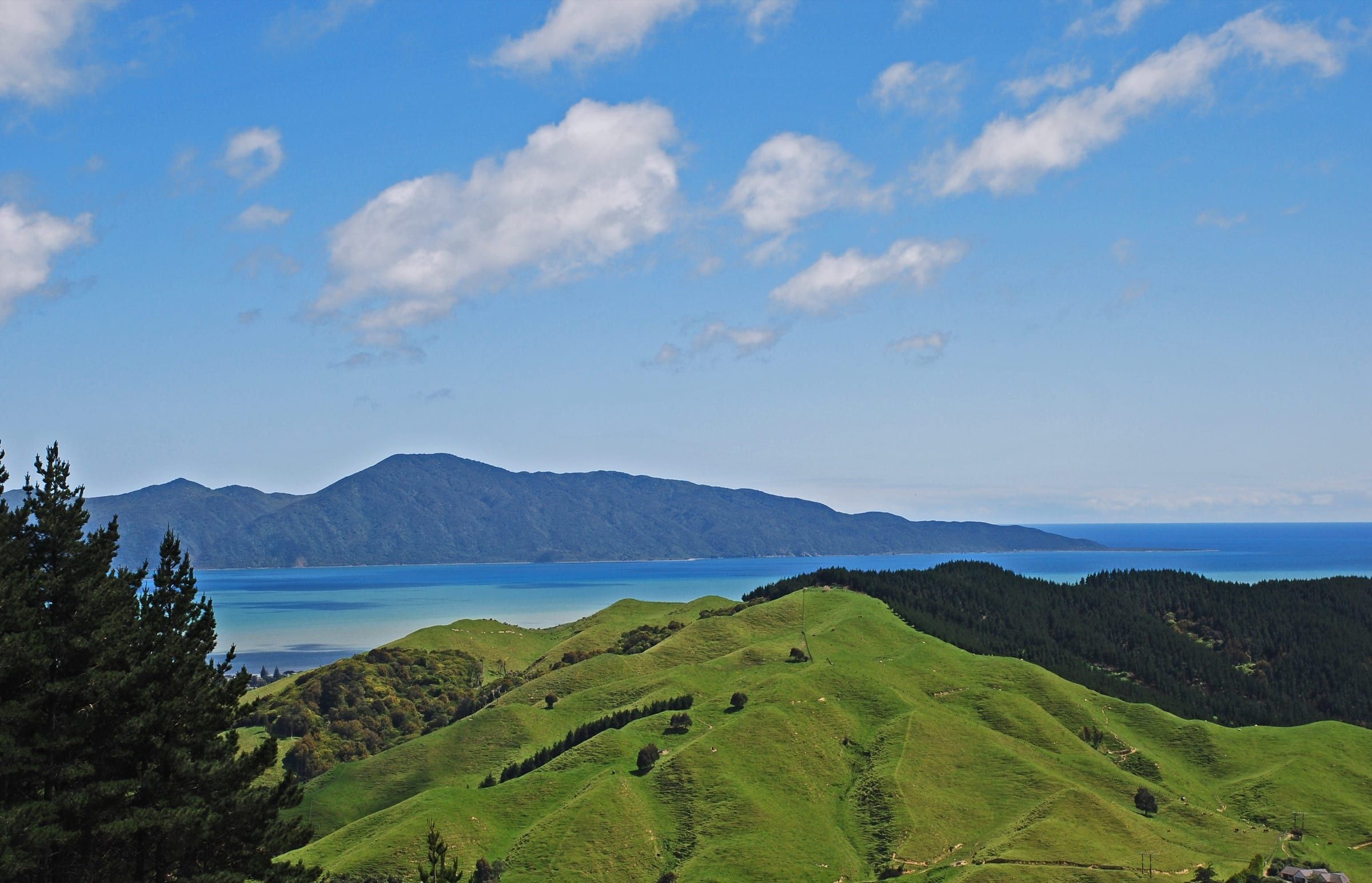 Kāpiti Island's long, bush-dark ridge rises from a turquoise sea beyond rolling green farmland and pines in the Kāpiti Coast hills, under a blue sky with scattered cloud.