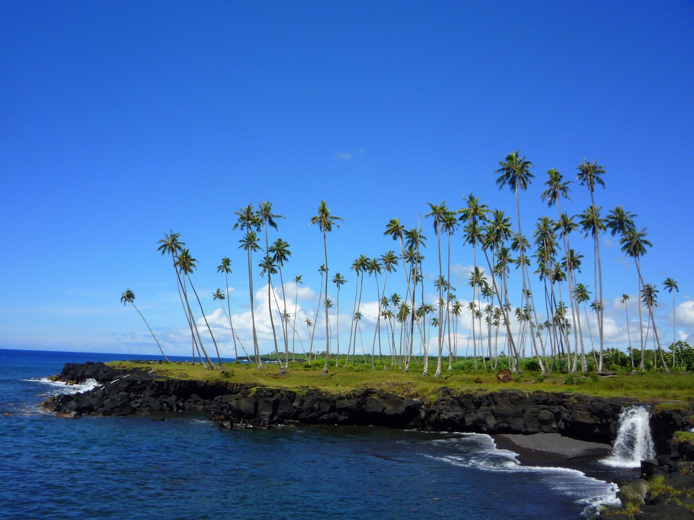 Tall coconut palms on a grassy headland of black lava rock on Savaiʻi's south-east coast, where the Mu Pagoa waterfall pours over the rocks into a deep blue sea.