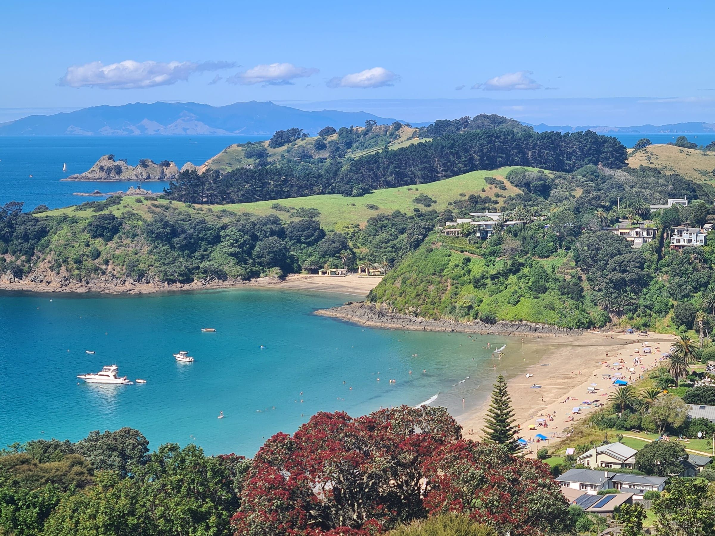 Looking down on Palm Beach, Waiheke Island: turquoise water and moored boats in Mawhitipana Bay, a red-flowering pōhutukawa below, and the Coromandel ranges on the horizon.