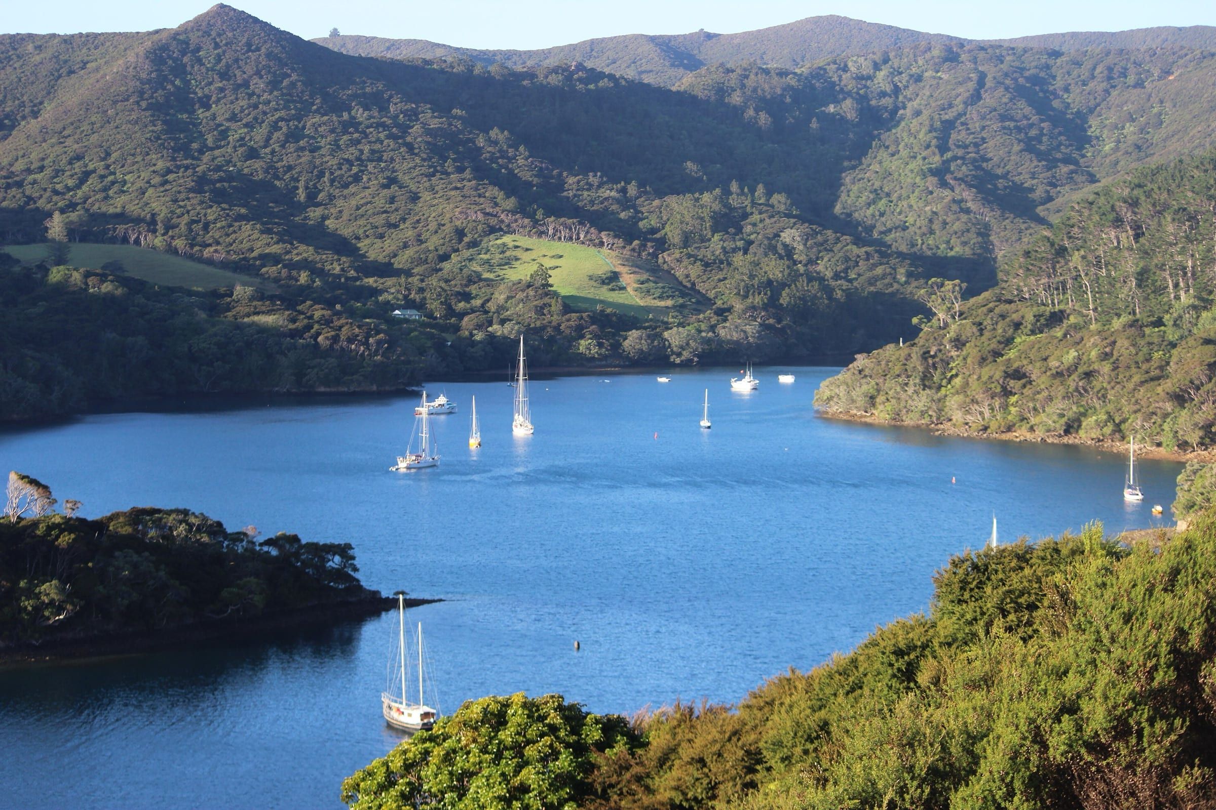 Yachts at anchor on the still blue water of Port Fitzroy, Aotea Great Barrier Island, ringed by steep bush-covered hills catching early morning light.