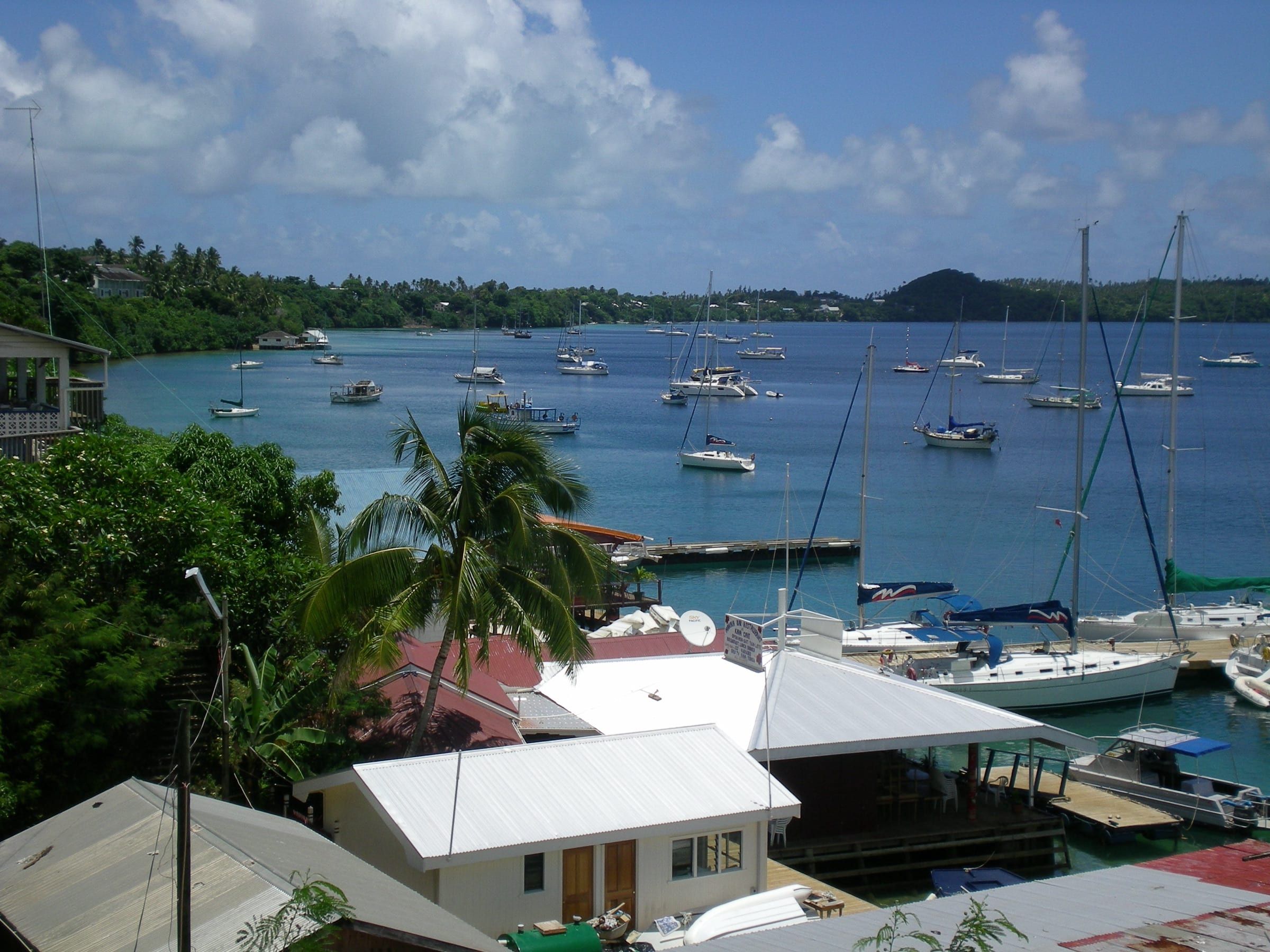 Yachts at anchor in Neiafu's sheltered harbour on Vavaʻu, seen over tin roofs and a palm, with green wooded shores and a blue sky behind.