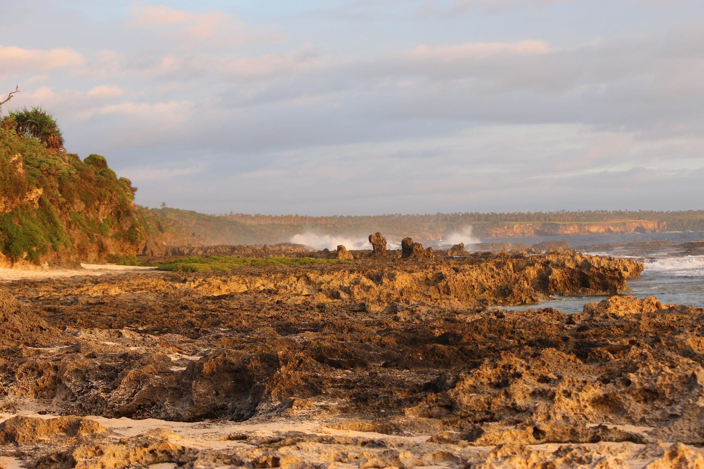 Low golden light on the rough coral-rock shore of southern Tongatapu, with sea spray rising off the reef and a line of palm-topped coastal cliffs beyond.