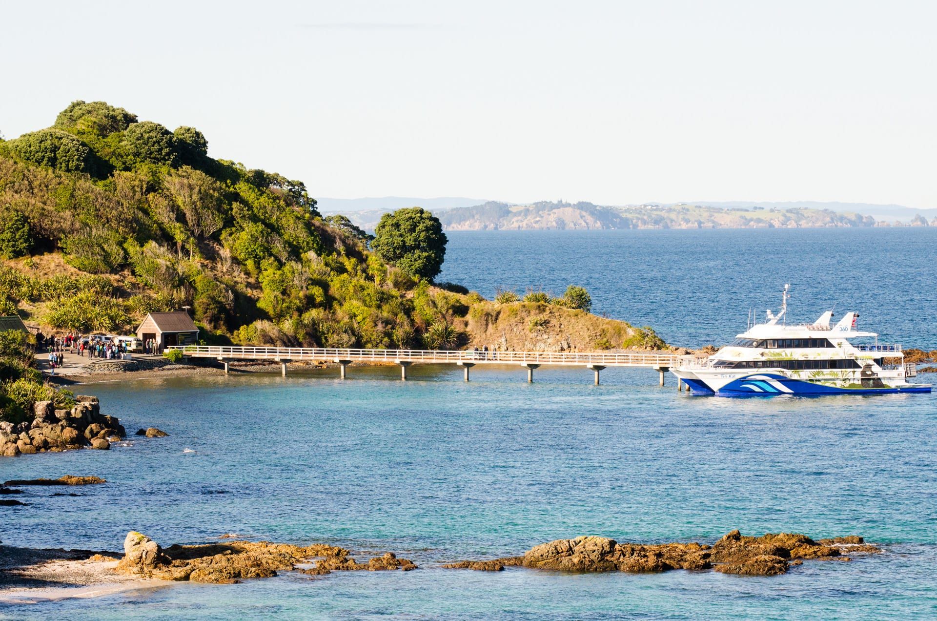 A day-trip ferry ties up at the end of Tiritiri Matangi's long wharf, with clear turquoise water, a bush-covered headland and a distant coastline beyond.